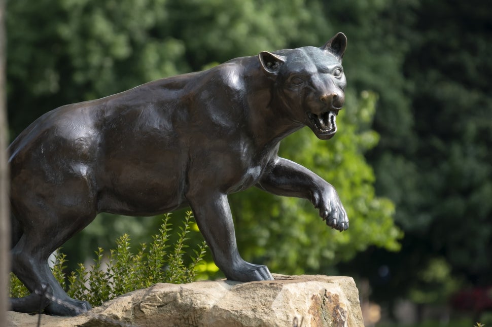 roc the panther statue outside with greenery in background
